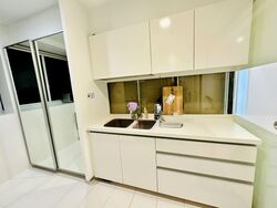 The Regency At Tiong Bahru (D3), Condominium #583640531